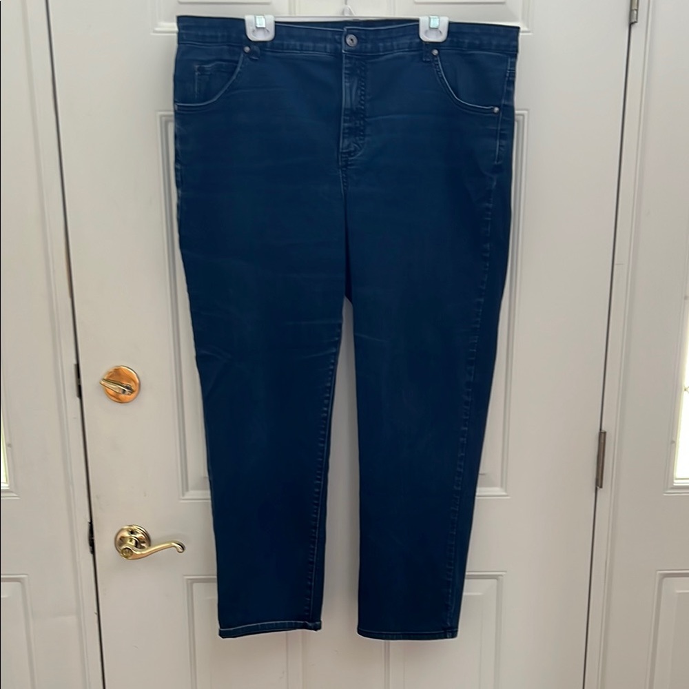 Gloria Vanderbilt Super Amanda Slim Leg Blue Jeans. Size:  20W
